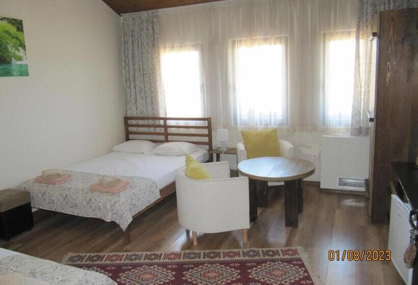 بنسيون Guest House Belchin View