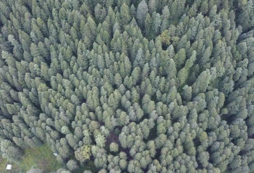 膳宿费 Home Of Tribes