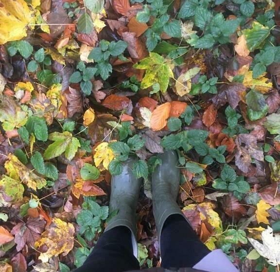 ペンション Jákó Ház