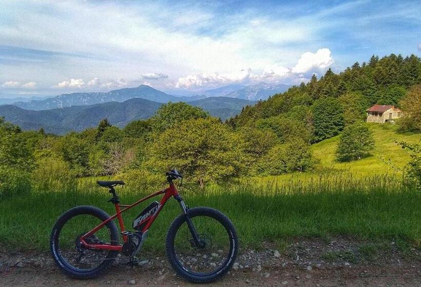 بنسيون Kalimera