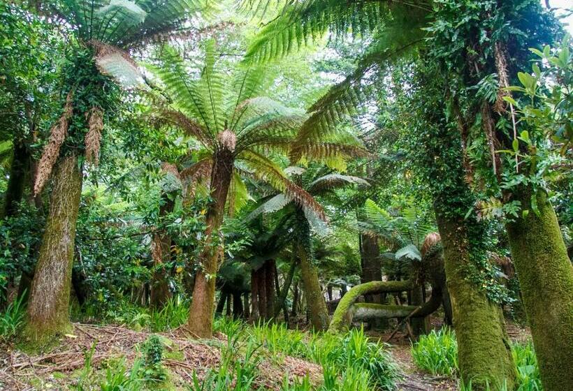 פנסיון Kells Bay House And Gardens