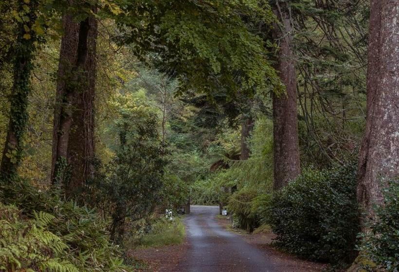 פנסיון Kells Bay House And Gardens