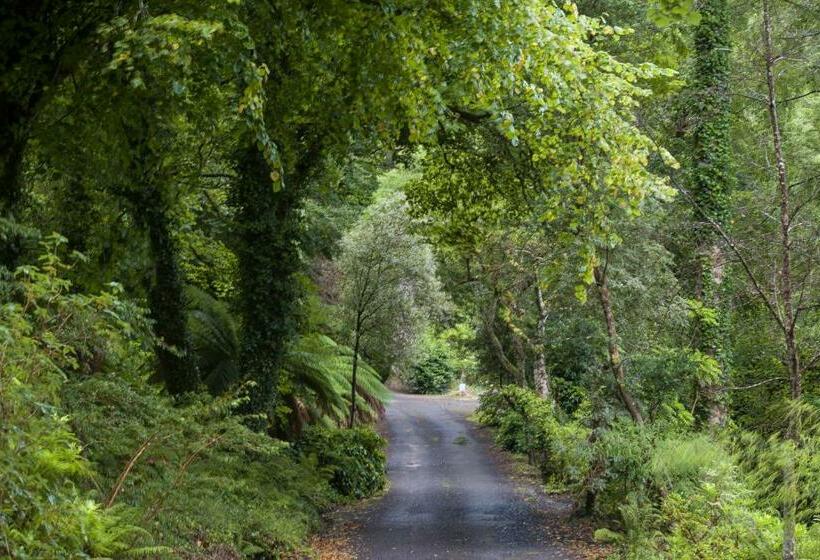 פנסיון Kells Bay House And Gardens