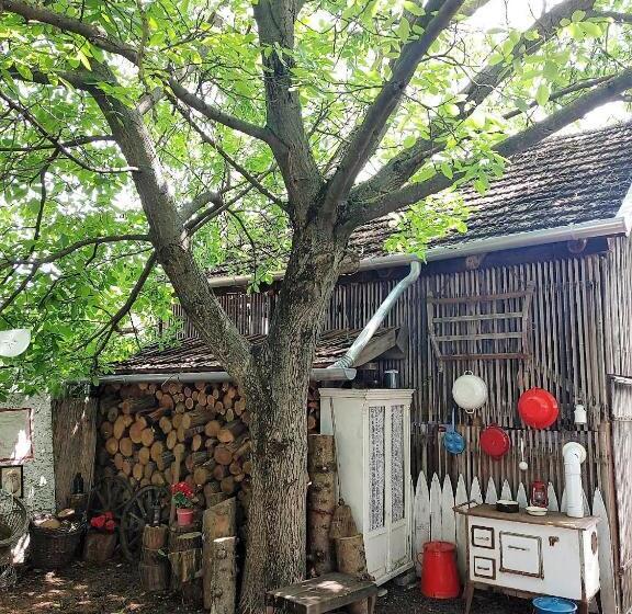 פנסיון Kultúrélet Vendégháza