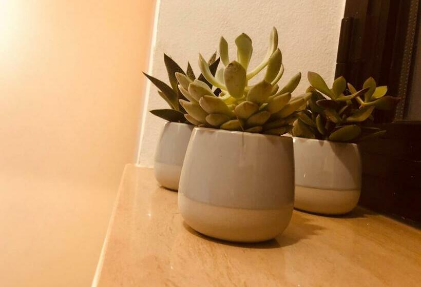 Пансион Pal Biel Affittacamere Avasinis