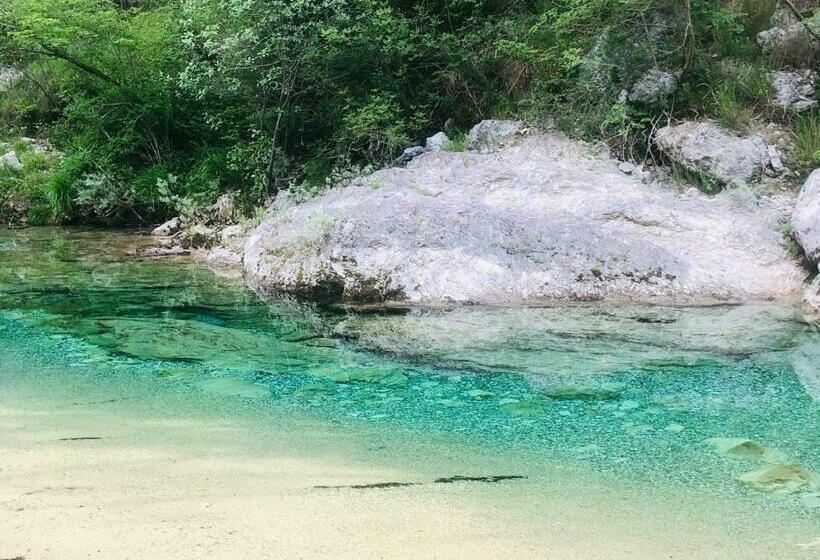 Пансион Pal Biel Affittacamere Avasinis