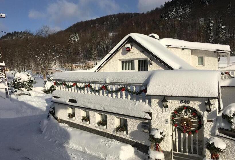 Пансион Penzion Ok