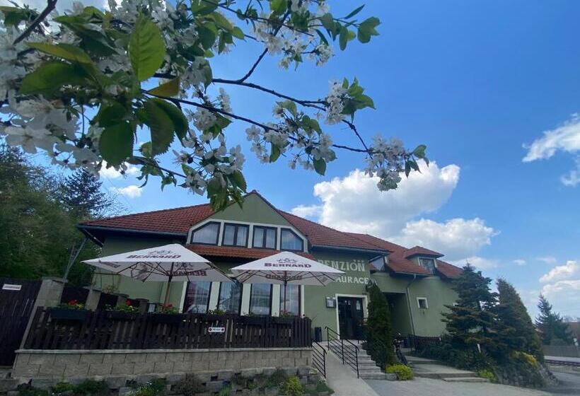 פנסיון Penzion U Kašných