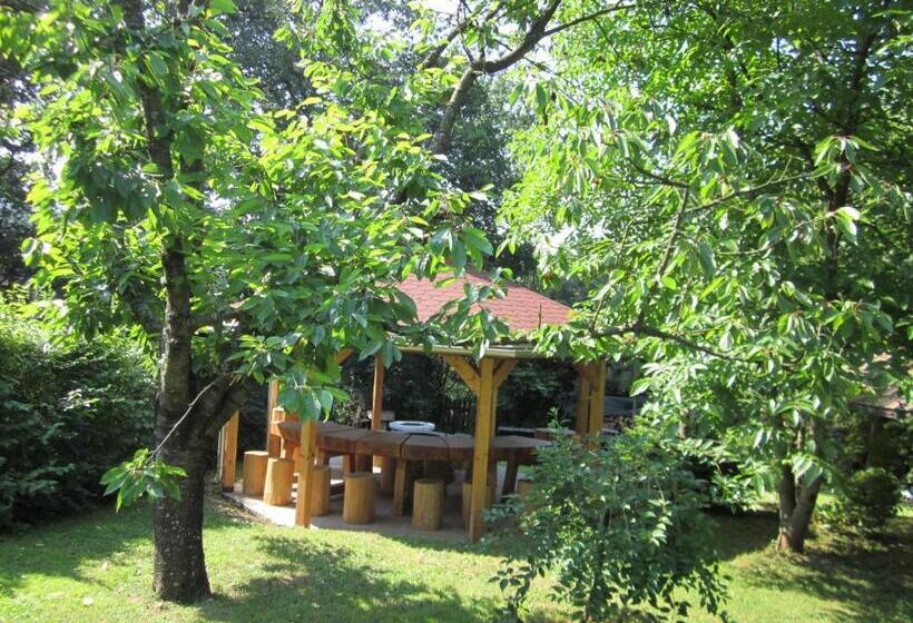 膳宿费 Tóth Vendégház