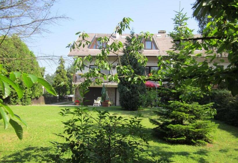 膳宿费 Tóth Vendégház