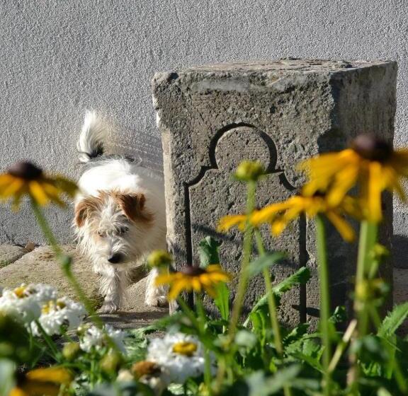 פנסיון Turján Vendégház