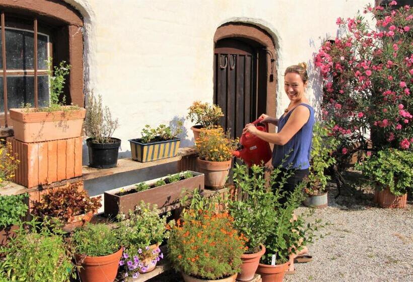 Пансион Zur Mühle