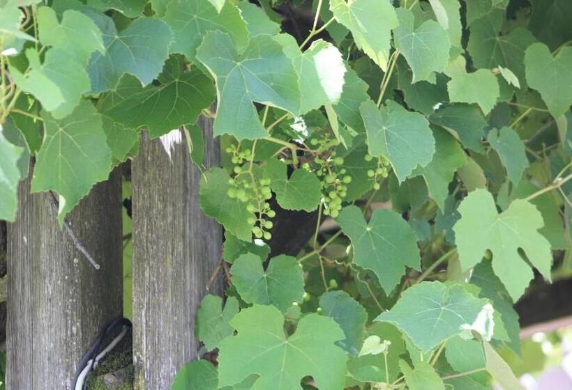 Pension Zum Krug, Messe München