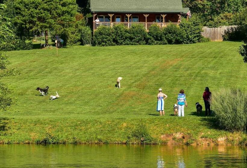 استراحتگاه Barkwells