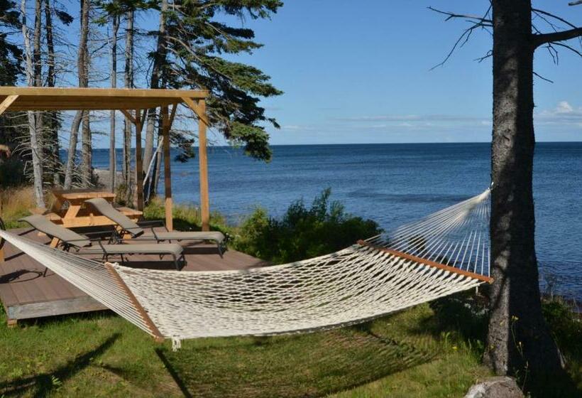 منتجع Sea Parrot Ocean View Manor