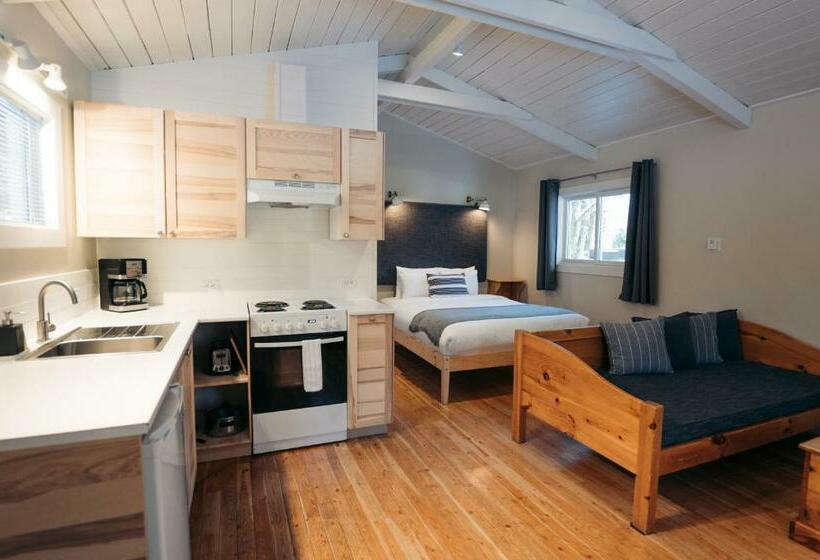 リゾートホテル Sunwolf Riverside Cabins