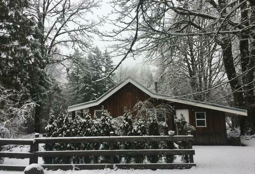 リゾートホテル Sunwolf Riverside Cabins