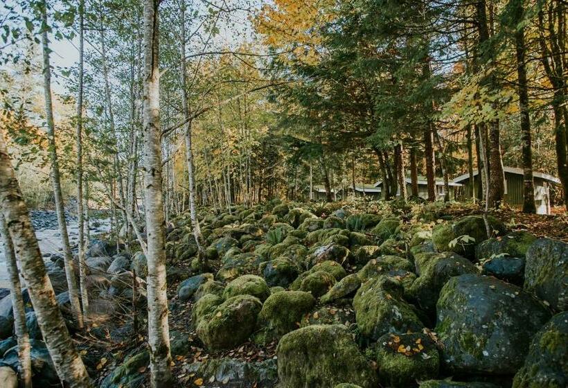 リゾートホテル Sunwolf Riverside Cabins