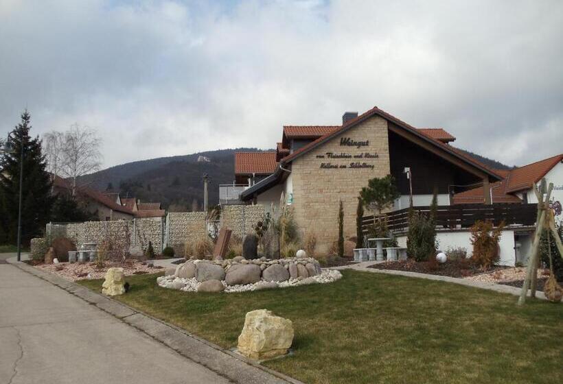 Weinhotel Kienle
