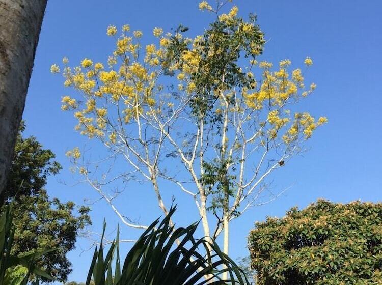 Общежитие Paraso Inn