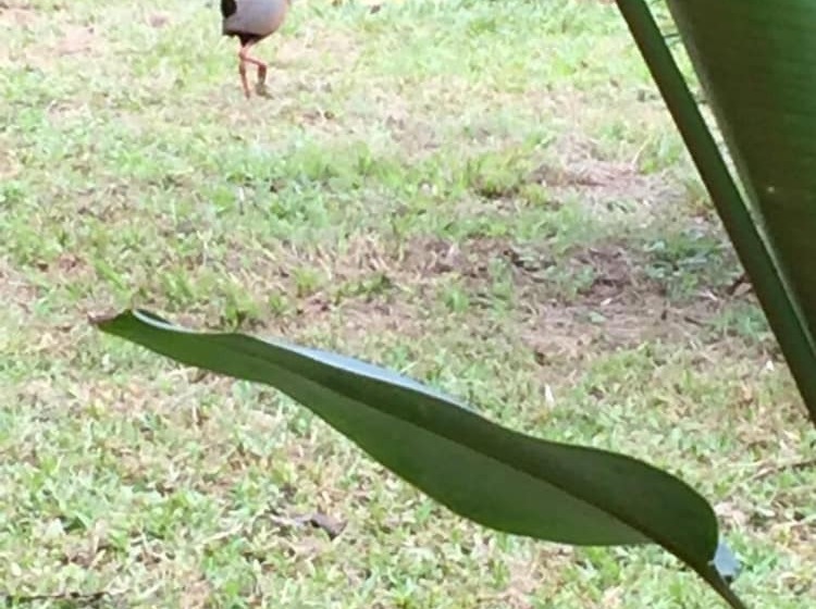 Общежитие Paraso Inn