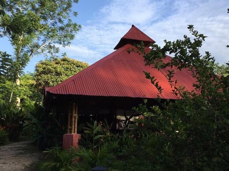 Общежитие Paraso Inn