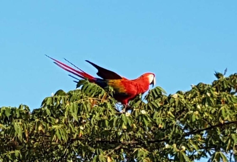 Общежитие Paraso Inn