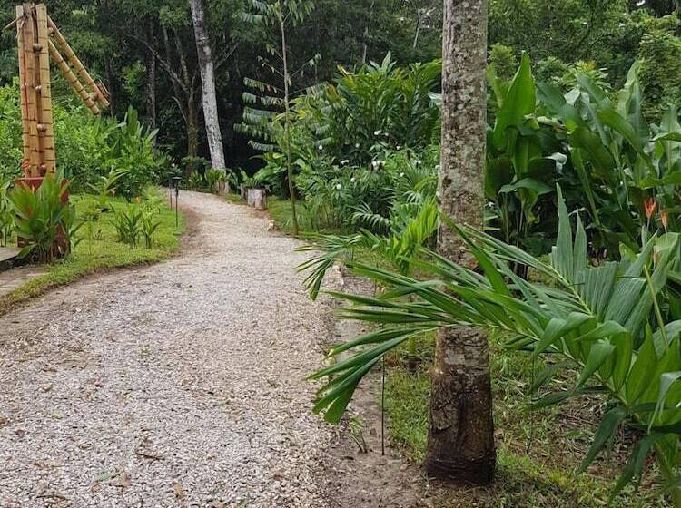 Общежитие Paraso Inn