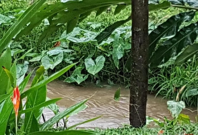 Общежитие Paraso Inn