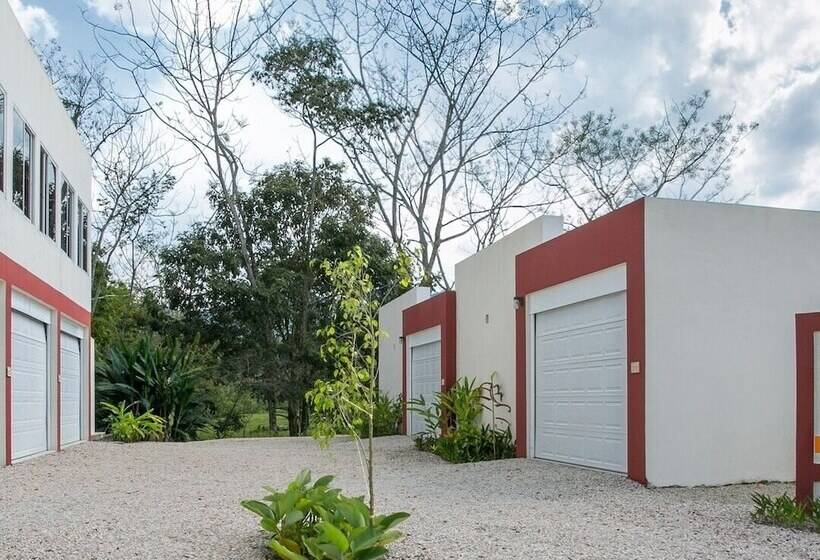 Общежитие Paraso Inn