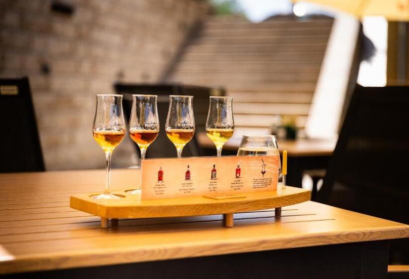 הוסטל Penzion Praděd Thamm