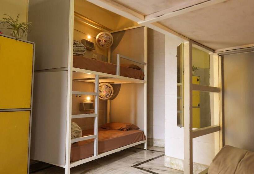 旅馆 Shalom Backpackers Rishikesh