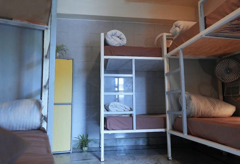 旅馆 Shalom Backpackers Rishikesh