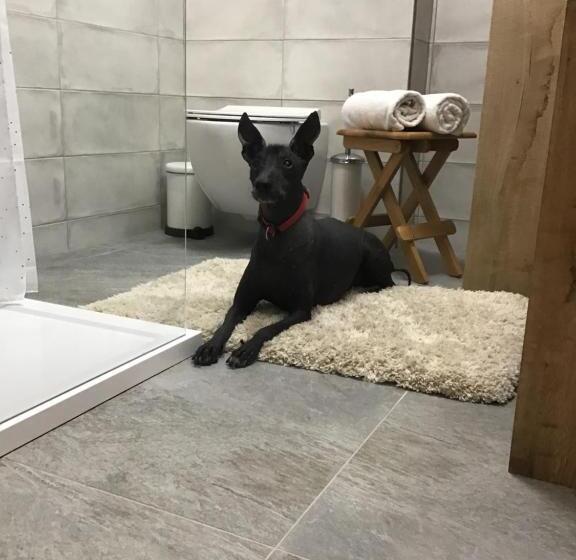 Apartmány Sebastian