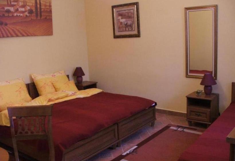 Пансион Arany Elefánt Szálláshely