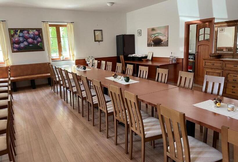 ベッドアンドブレックファースト Mayer Pince Panzió