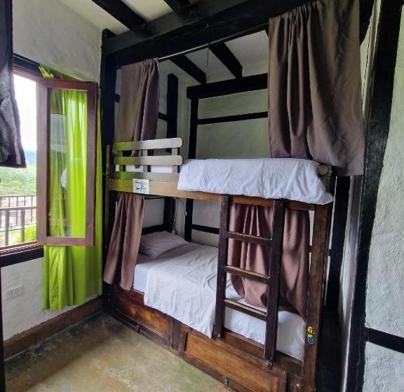 Coffee Tree Boutique Hostel