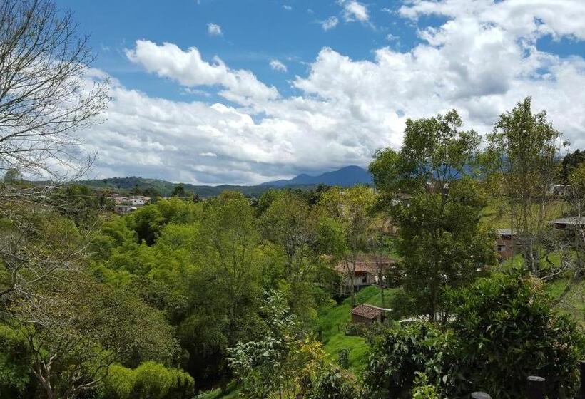 Coffee Tree Boutique Hostel