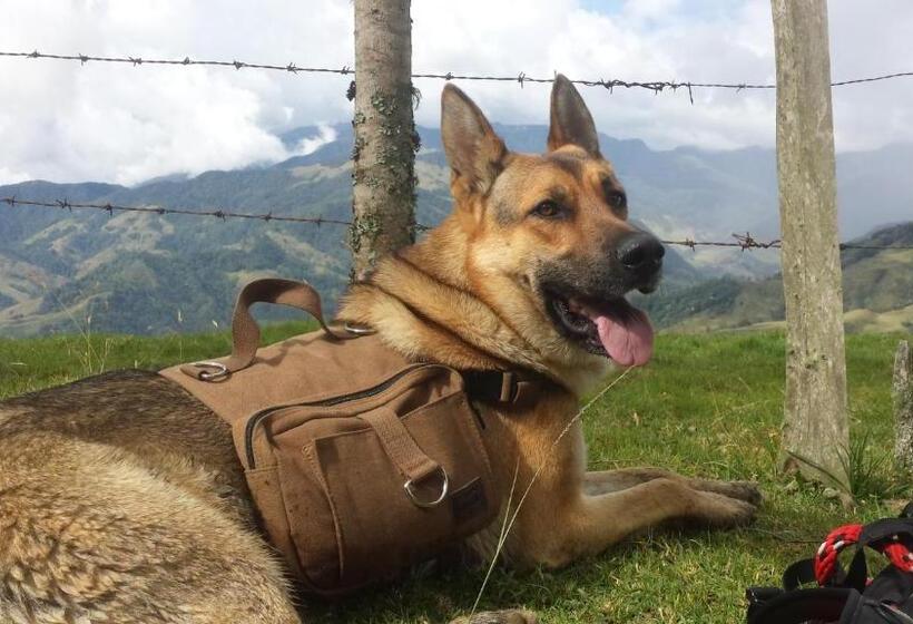 Coffee Tree Boutique Hostel