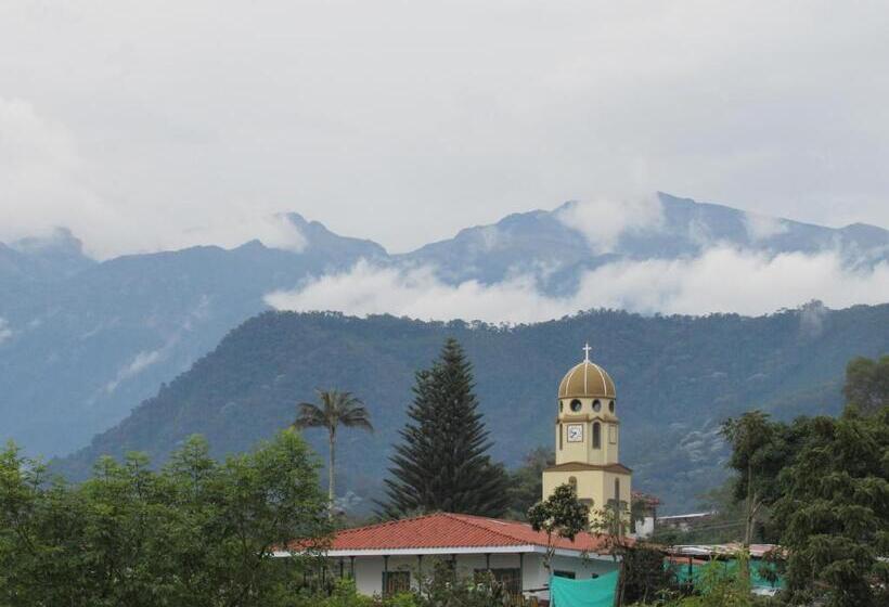 Coffee Tree Boutique Hostel