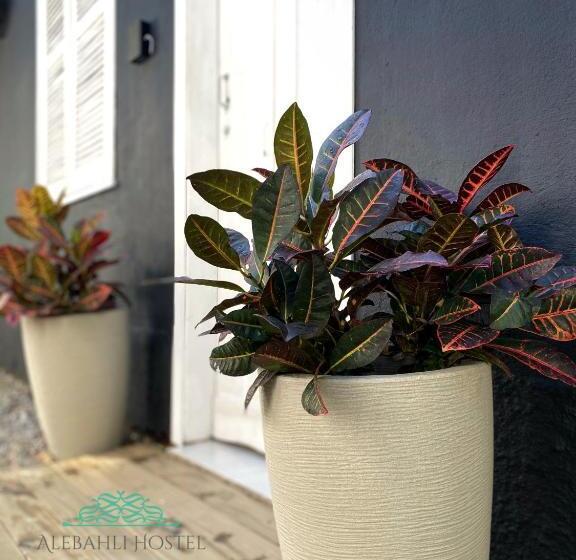 بنسيون Alebahli Hospedagem Ilhabela