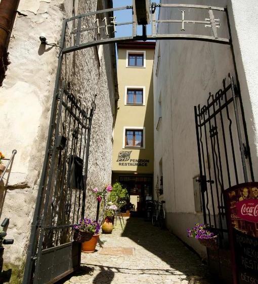 پانسیون Penzion Černej Pták