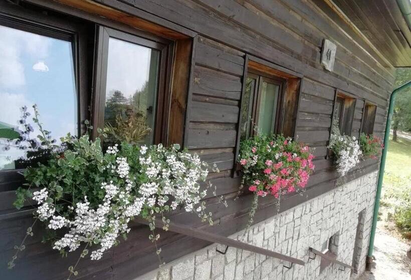 ペンション Penzion Pohlednička