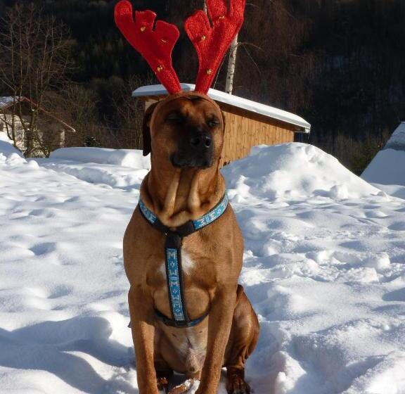 膳宿费 Apartmány Yellow