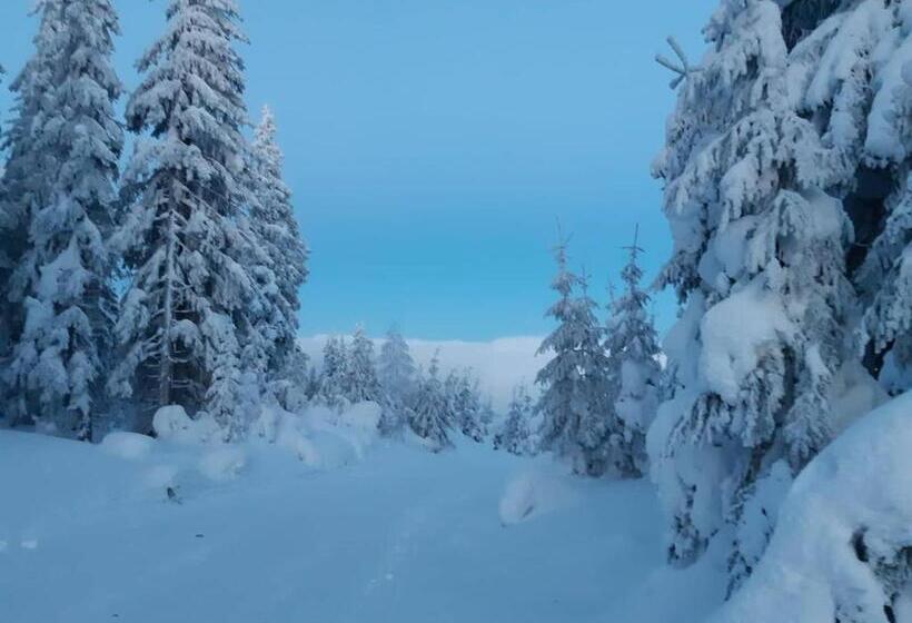 膳宿费 Apartmány Yellow