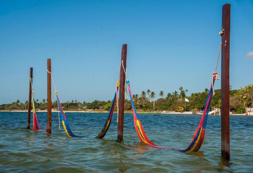 ペンション Pousada Flambaião