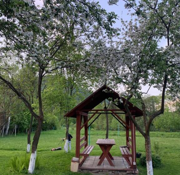 پانسیون Sadyba Lesivykh