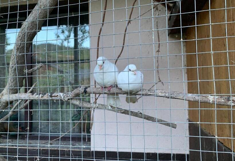 پانسیون Sadyba Lesivykh