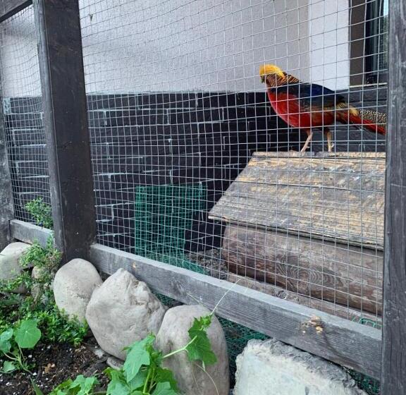 پانسیون Sadyba Lesivykh