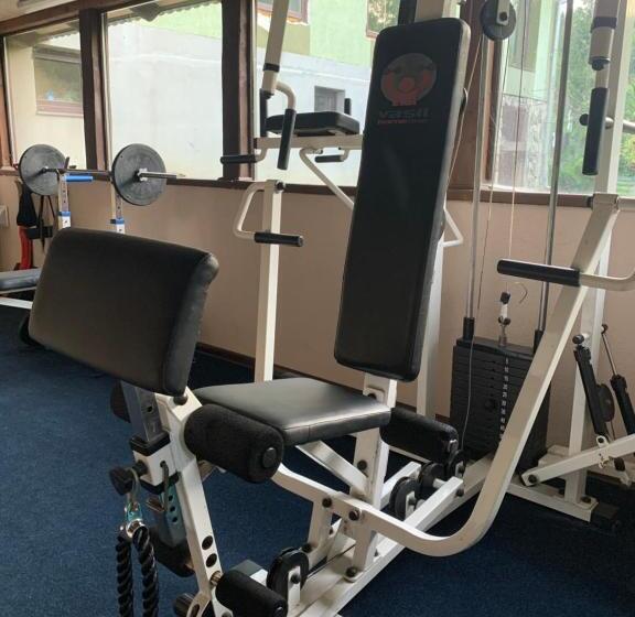 پانسیون Sadyba Lesivykh